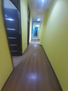 image 375462