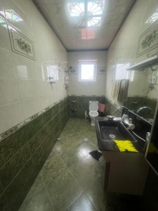 image 375477
