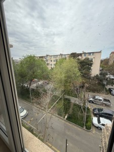 image 375481