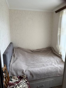 image 375481
