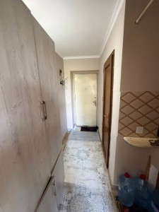 image 375481