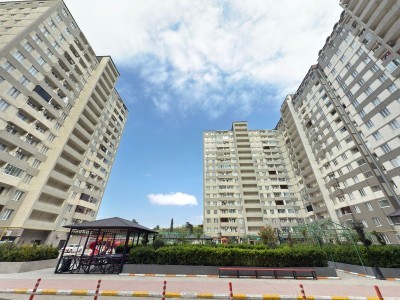 image 375483