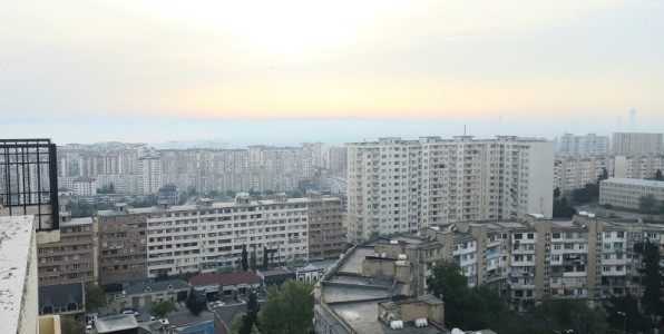 image 375486