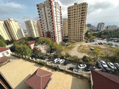 image 375487