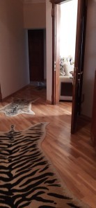 image 375498