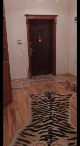 image 375498