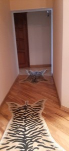 image 375498