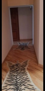 image 375498
