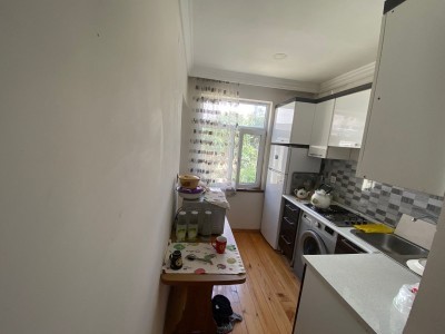 image 375500