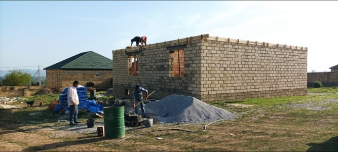 image 375501