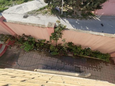 image 375509