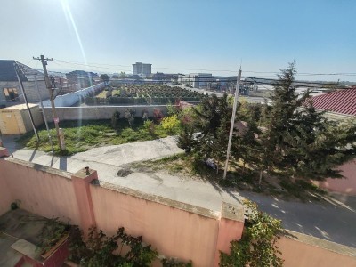image 375509