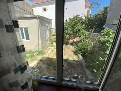 image 375510