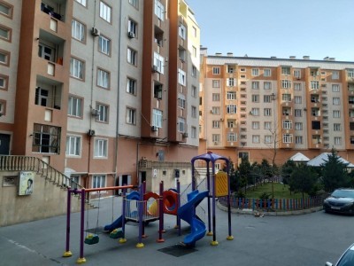 image 375512