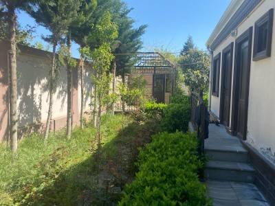 image 375514