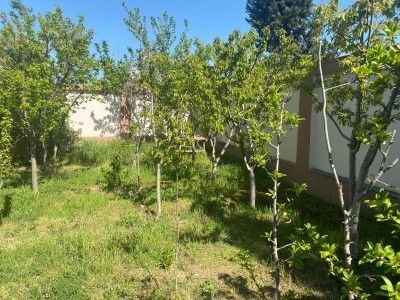 image 375514