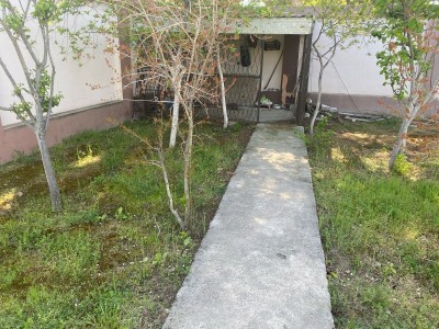 image 375514