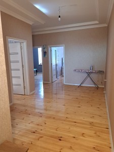 image 375515
