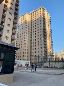 image 375517