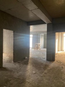 image 375517
