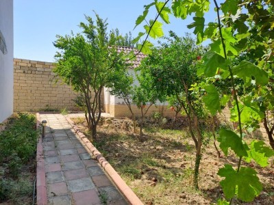 image 375523