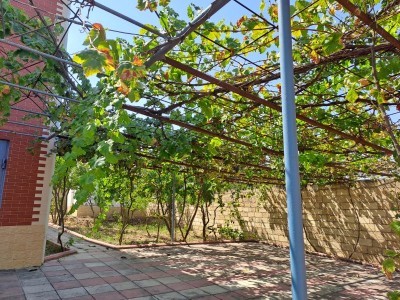 image 375523