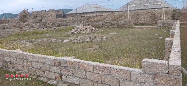 image 375527