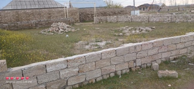 image 375527