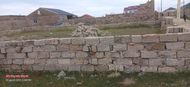 image 375527