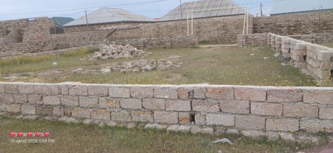 image 375527