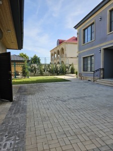 image 375530