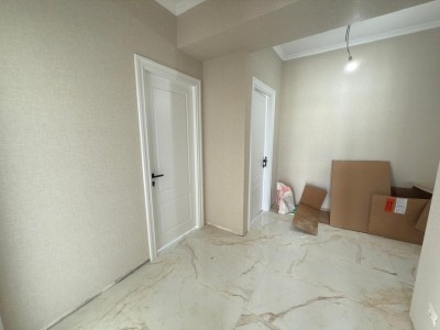 image 375532