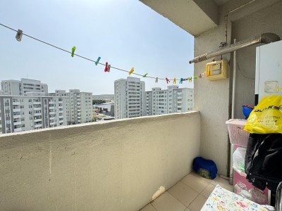 image 375542
