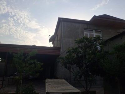 image 375547