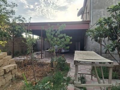 image 375547