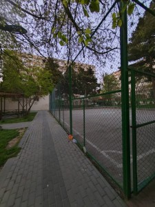 image 375554