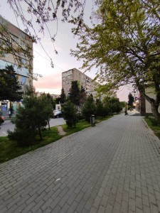 image 375554