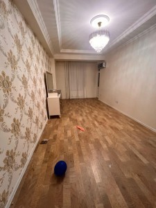 image 375555
