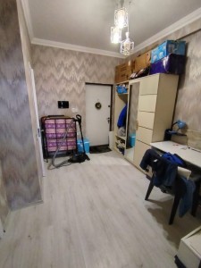 image 375557