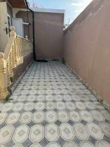 image 375558