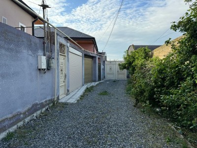 image 375558