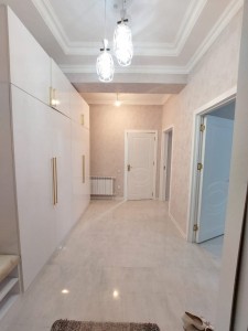 image 375559