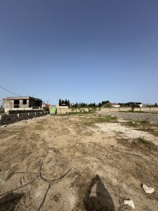 image 375565