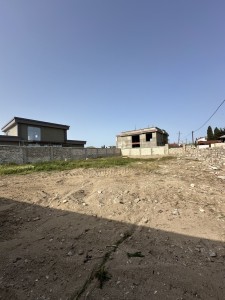 image 375565