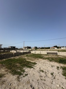 image 375565