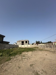 image 375565