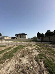 image 375565