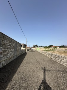 image 375565