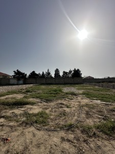 image 375565