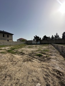 image 375565
